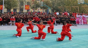 少林寺武术学校学生毕业后能做什么