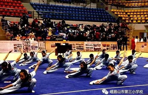 全国先进武术之乡的中小学和幼儿园624名武术选手亮功夫