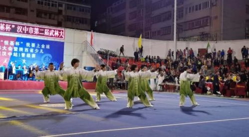 汉中市老体协太极拳中心队勇夺桂冠