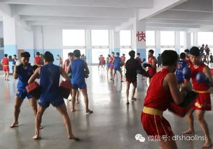 嵩山少林寺武术学校开设 问题少年 的教育先锋
