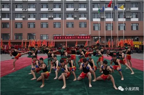 河南少林寺小龙武校 习武的目的就是防身健体