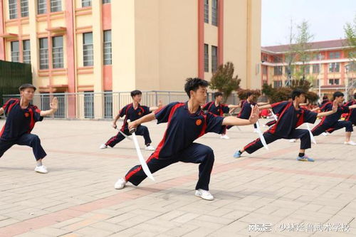 在延鲁武校,除了武术,我们还学什么