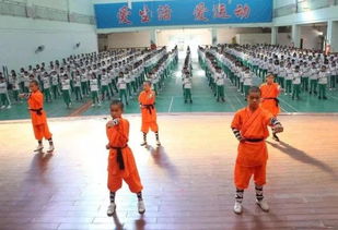 清远市武术协会 传承武术文化,让武术走进校园,实现武术校园化