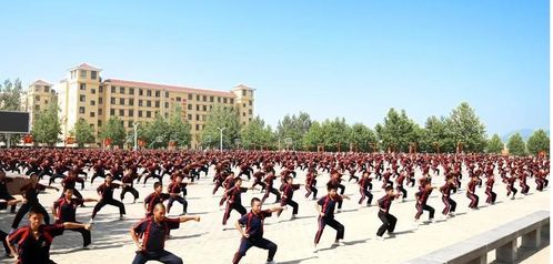 少林延鲁武术学校报名有什么要求吗