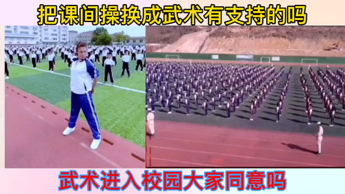 武术进校有支持的吗