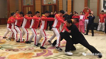 贵州东山武术学校 专业文化武术培训 还你一个 武侠 梦