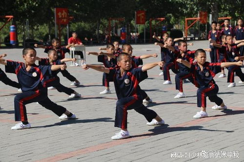 延鲁武校 武术教育让孩子受益无穷