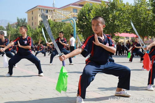 武术对于学生,有着多方面的意义