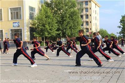 【青少年到少林寺武校学武什么时候最好?】价格,厂家,其他教育培训-搜了网