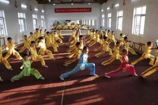 在野生动物园,看到校园霸凌的影子
