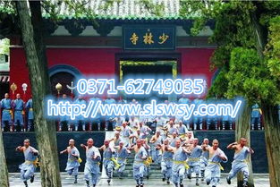 幼儿能不能到少林武校学武