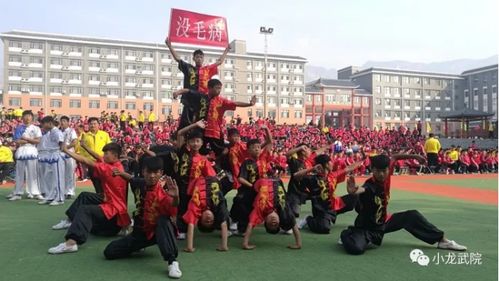 少林寺武校 让孩子在武术学校有所学,有所悟,有所得